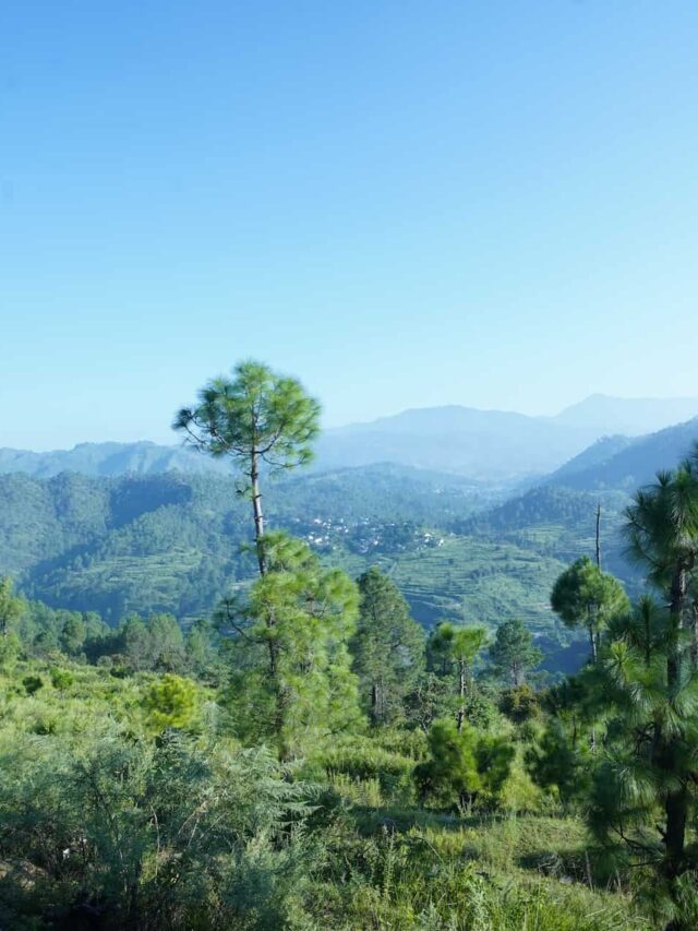 Why Haridwar’s Land Market is a Golden Opportunity for Investors